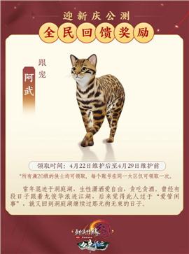 仙境天龙八部私服攻略